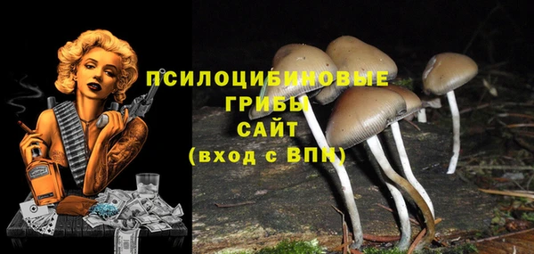 герыч Надым
