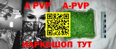 амф Кингисепп