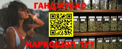 амф Кингисепп