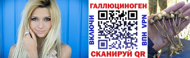 купить закладку  Назрань  Галлюциногенные грибы Magic Shrooms 