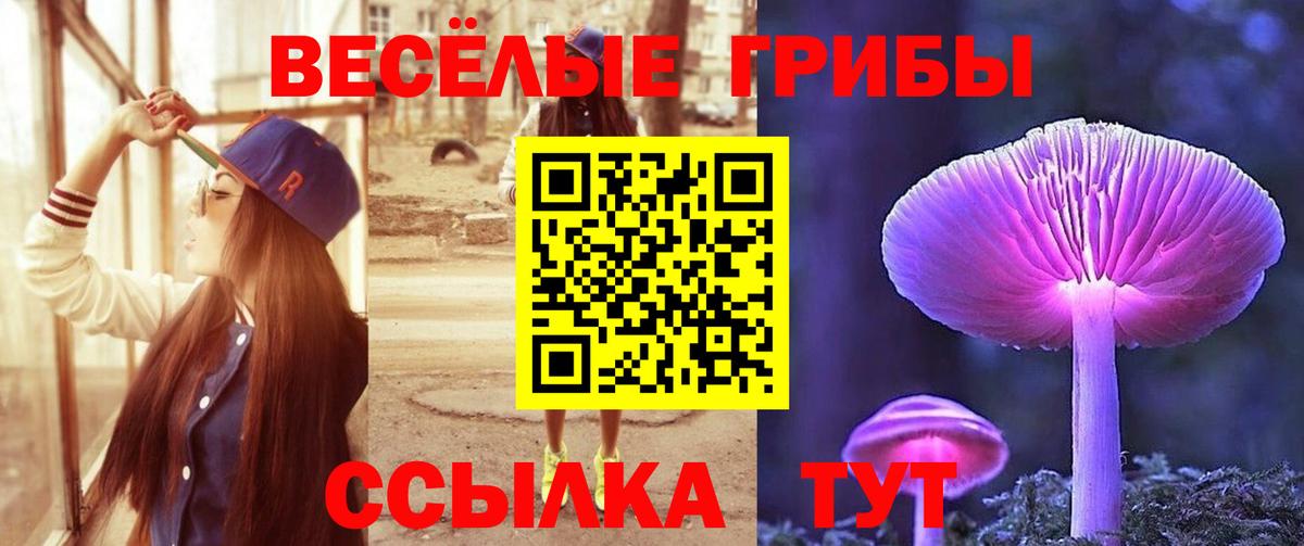Псилоцибиновые грибы мухоморы  Вход с VPN  купить наркотики цена  Назрань 