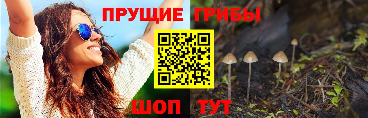Галлюциногенные грибы GOLDEN TEACHER Назрань
