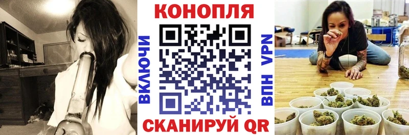 Канабис AK-47 MEGA tor Назрань